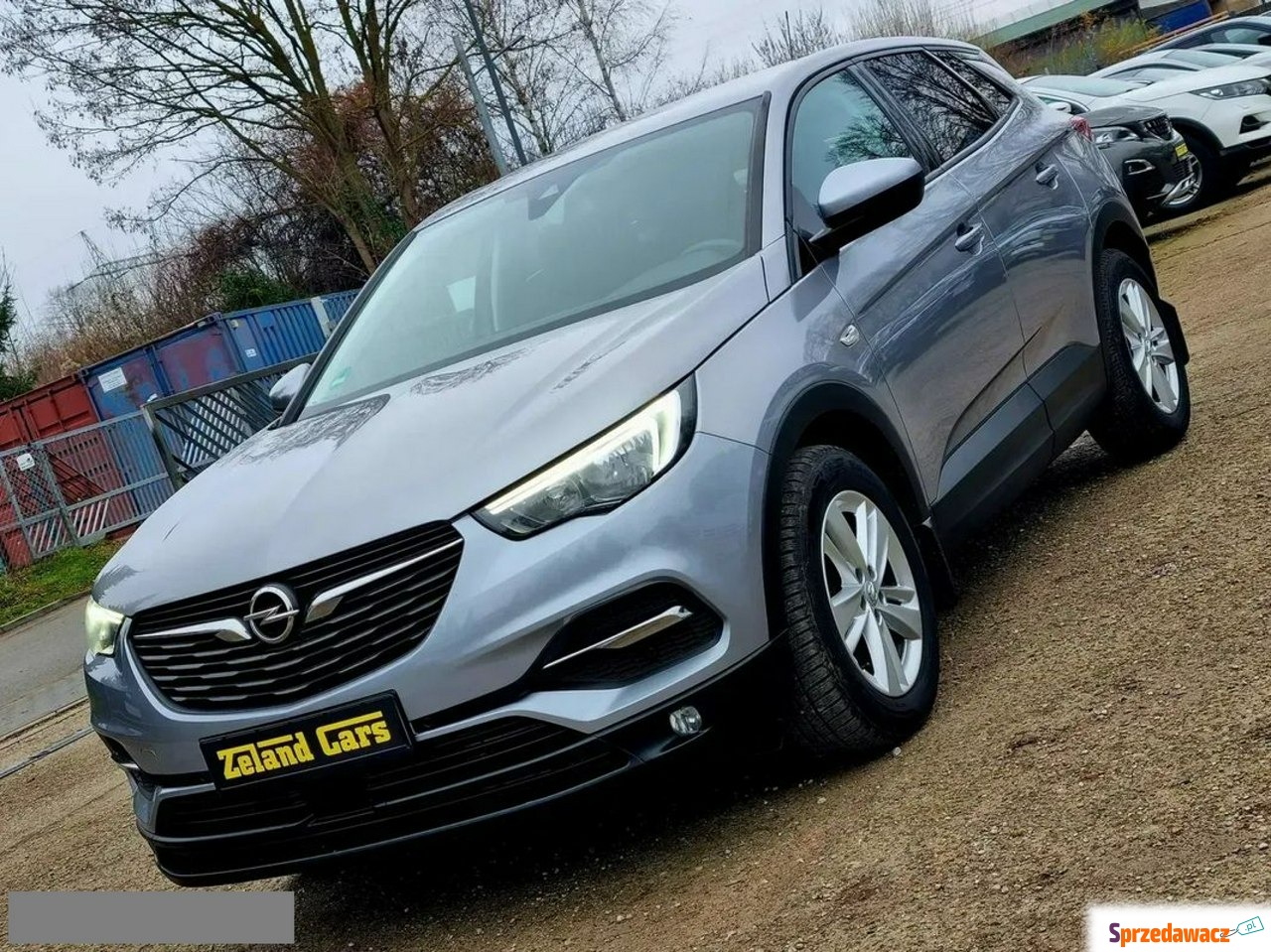 Opel Grandland X 2018