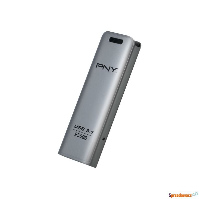 PNY Elite Steel 3.1 256GB