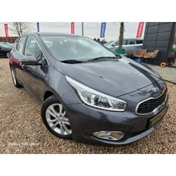 Kia Ceed  Hatchback 2013,  1.6 benzyna - Na sprzedaż za 26 999 zł - Nowe Sójki - zdjęcie 5