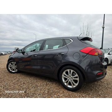 Kia Ceed  Hatchback 2013,  1.6 benzyna - Na sprzedaż za 26 999 zł - Nowe Sójki - zdjęcie 12