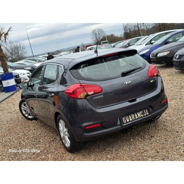 Kia Ceed  Hatchback 2013,  1.6 benzyna - Na sprzedaż za 26 999 zł - Nowe Sójki - zdjęcie 11