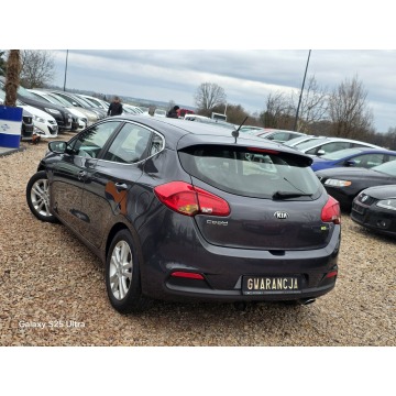 Kia Ceed  Hatchback 2013,  1.6 benzyna - Na sprzedaż za 26 999 zł - Nowe Sójki - zdjęcie 10