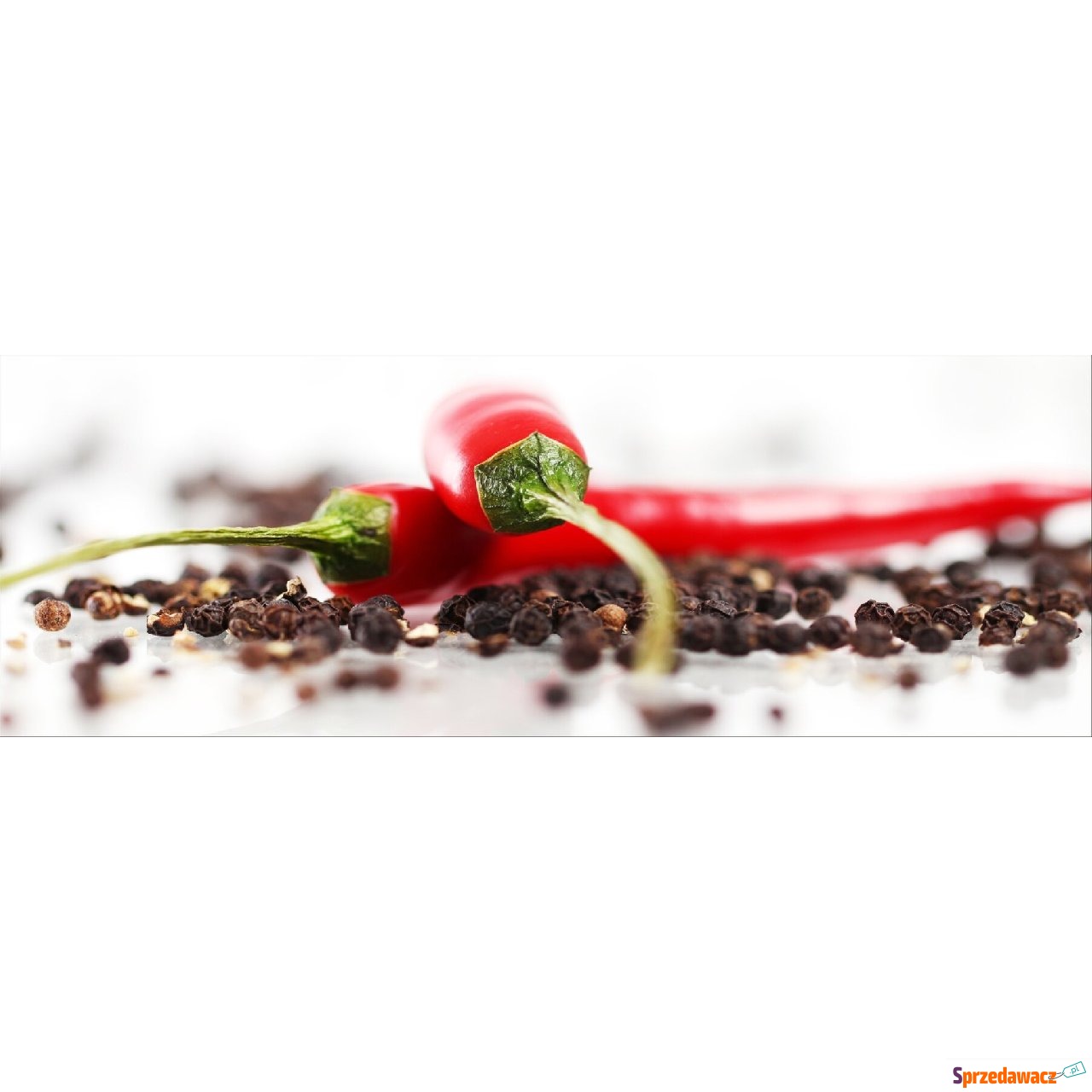 Panel ścienny VDB Chilli 800x280