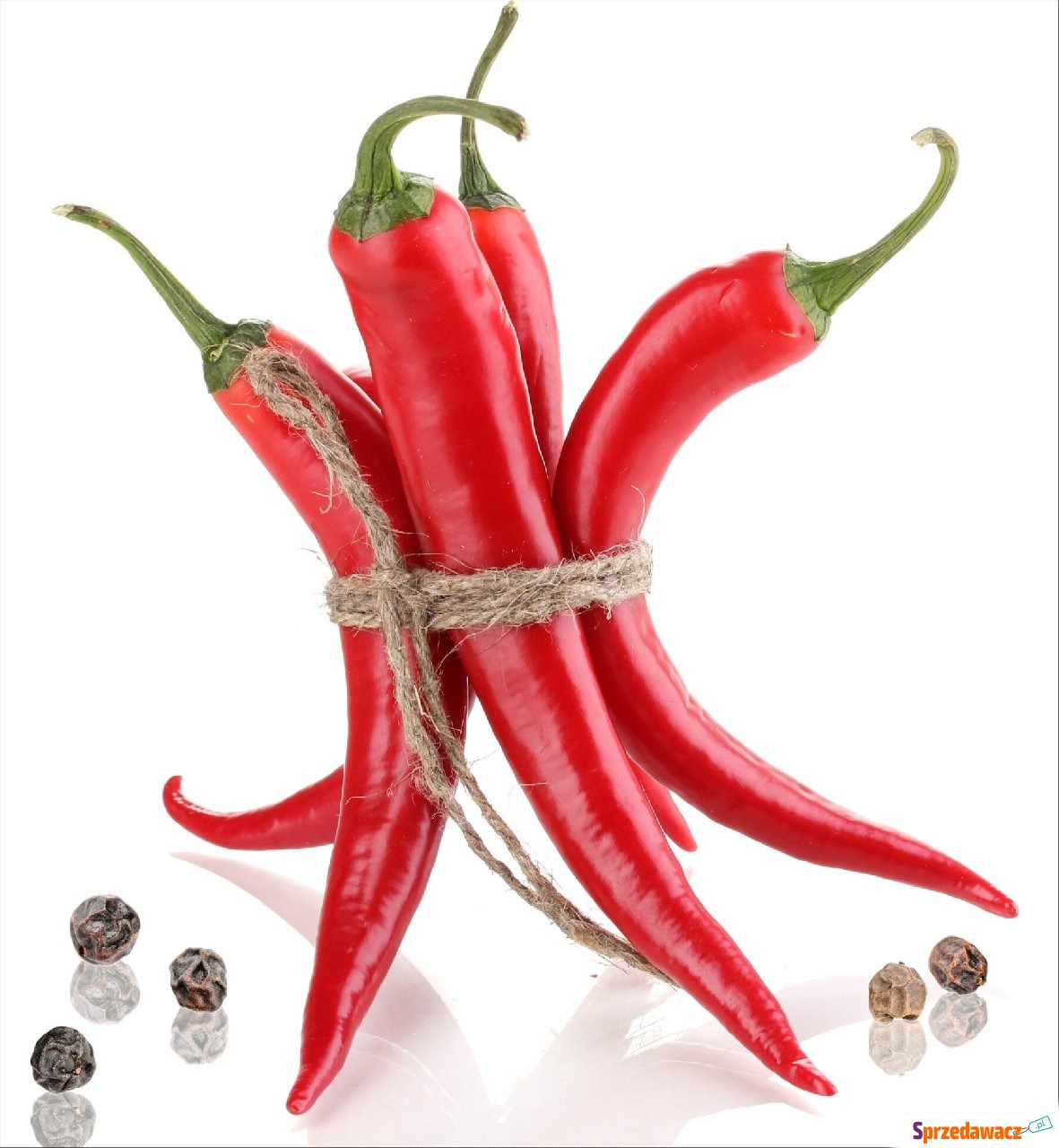 Panel ścienny VDB Chilli 600x650