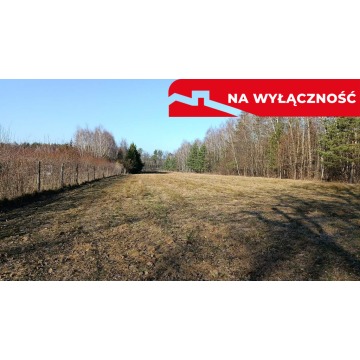 Działka budowlano-rolna 90 ar, Krzywe.