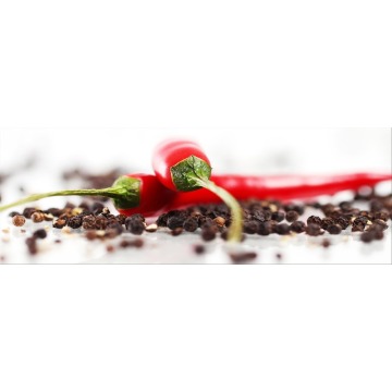 Panel ścienny VDB Chilli 800x280