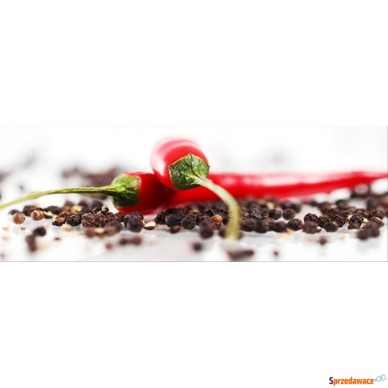 Panel ścienny VDB Chilli 800x280 - Okapy kuchenne - Warszawa