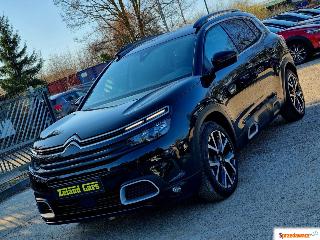 Citroen C5 Aircross 2019