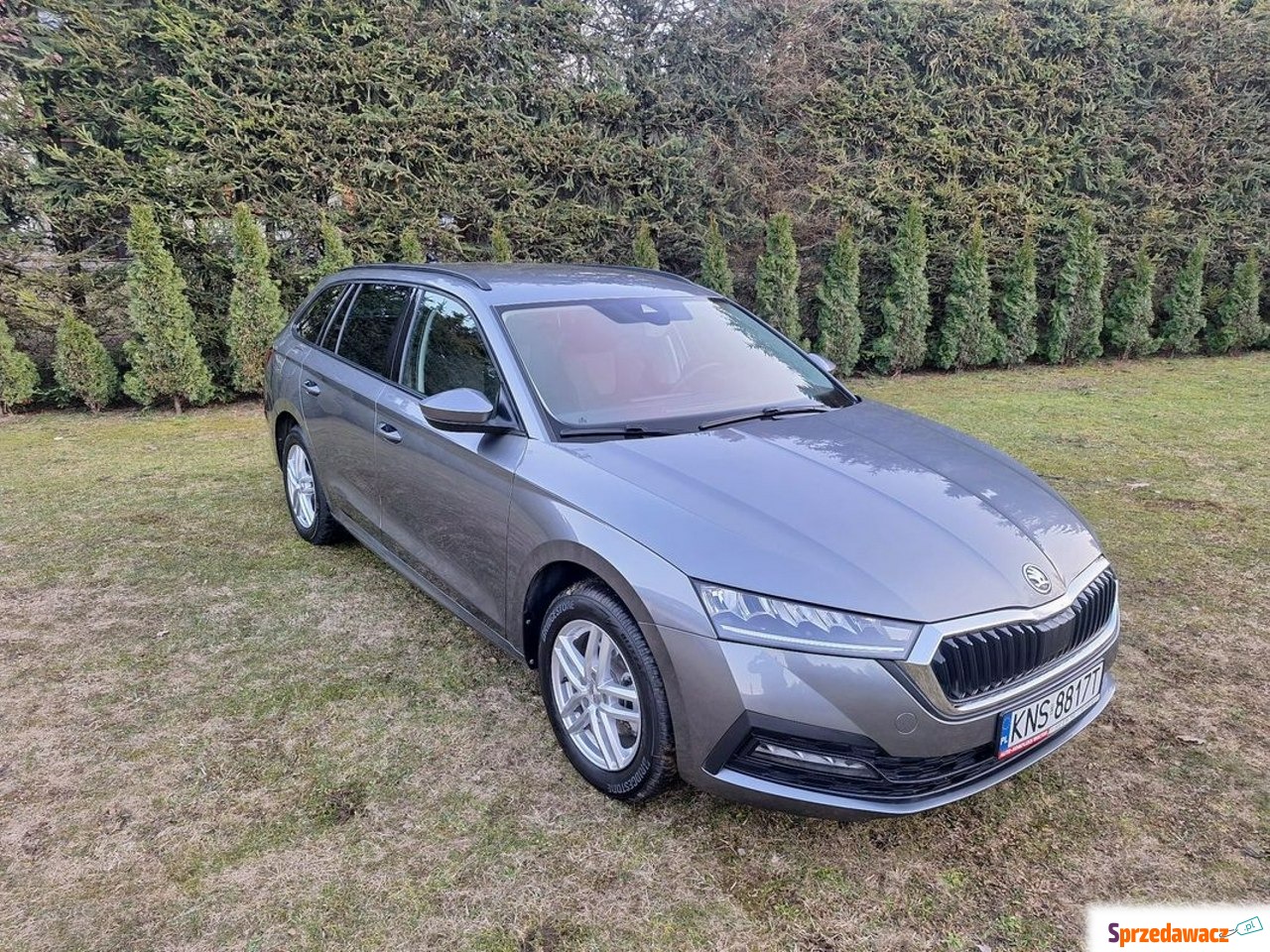 Skoda Octavia 2023