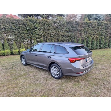 Skoda Octavia 2023,  1.0 hybryda, automat - Na sprzedaż za 89 600 zł - Nowy Sącz - zdjęcie 3