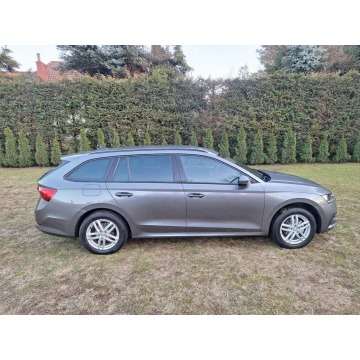Skoda Octavia 2023,  1.0 hybryda, automat - Na sprzedaż za 89 600 zł - Nowy Sącz - zdjęcie 8