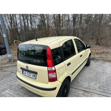 Fiat Panda  Hatchback 2011,  1.2 benzyna - Na sprzedaż za 6 800,00 zł - Wejherowo - zdjęcie 3