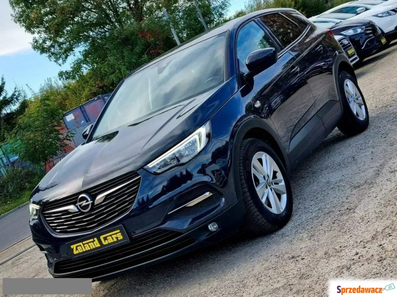 Opel Grandland X  SUV 2018,  1.2 benzyna - Na sprzedaż za 41 900 zł - Szczecin