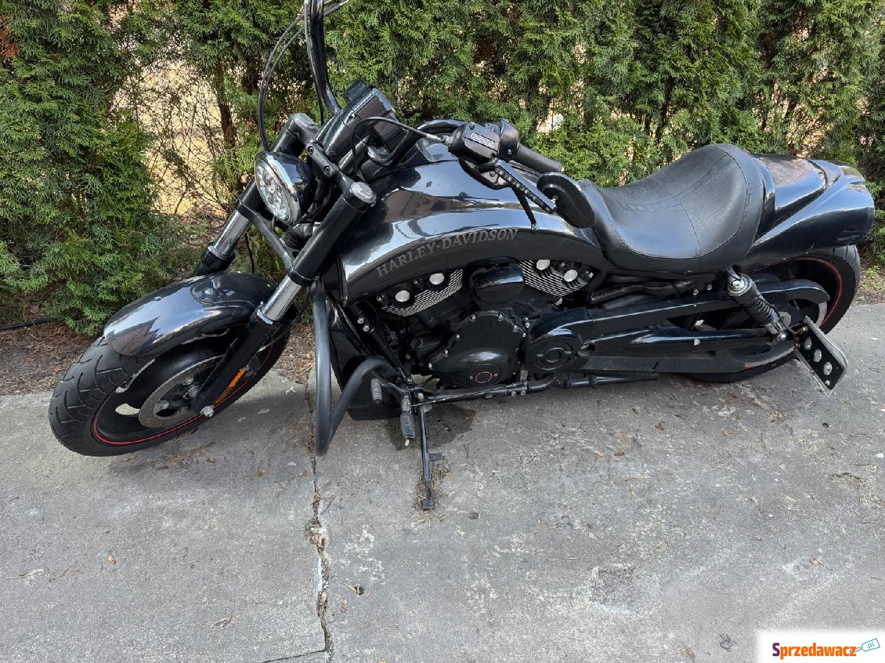 Harley Davidson Night Rod Special