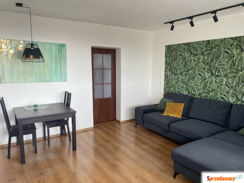 Mieszkanie na wynajem, 56m², 2...