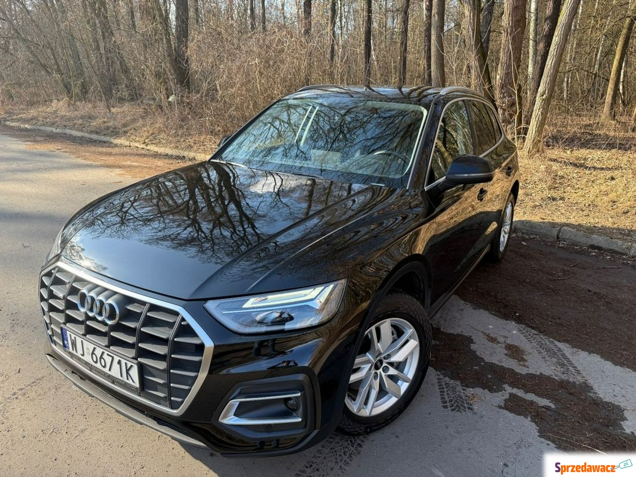 Audi Q5 2022
