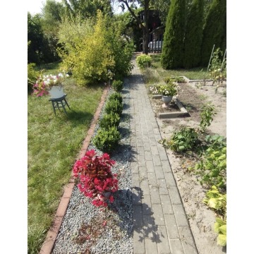 Działka rekreacyjna Kluczbork sprzedam, pow. 300 m2  (3a), uzbrojona - zdjęcie 2