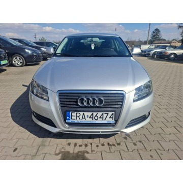 Audi A3  Sedan/Limuzyna 2008,  1.6 - Na sprzedaż za 18 900 zł - Malutkie - zdjęcie 2