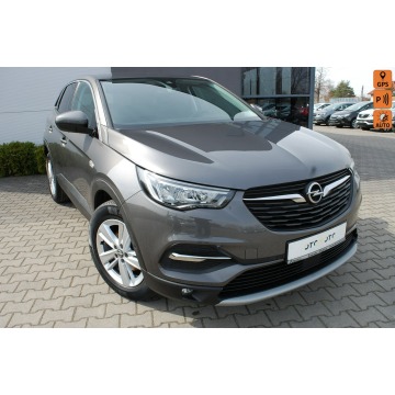 Opel Grandland X  SUV 2020,  1.2 benzyna - Na sprzedaż za 40 900 zł - Dębica - zdjęcie 1