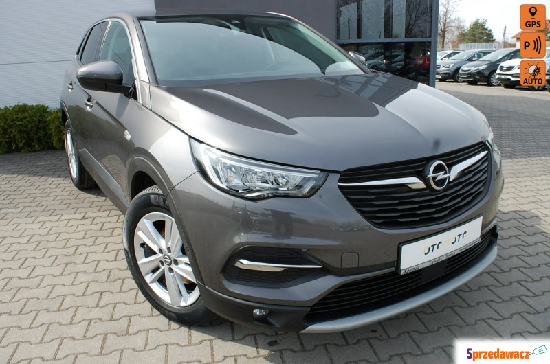 Opel Grandland X  SUV 2020,  1.2 benzyna - Na sprzedaż za 40 900 zł - Dębica