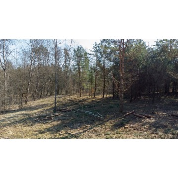 Działka na sprzedaż Elgnówko  - Działki na sprzedaż - Elgnówko - zdjęcie 8