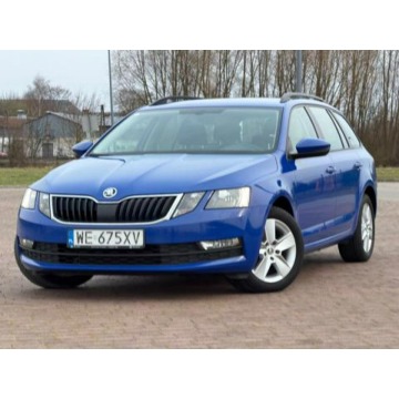 Skoda Octavia 2019,  1.5 benzyna - Na sprzedaż za 44 895 zł - Nowe Iganie - zdjęcie 11