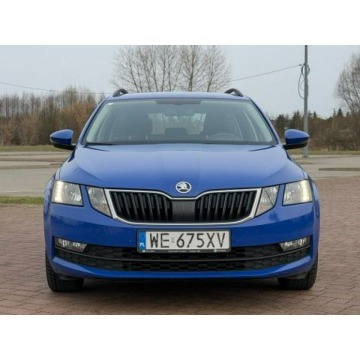 Skoda Octavia 2019,  1.5 benzyna - Na sprzedaż za 44 895 zł - Nowe Iganie - zdjęcie 9