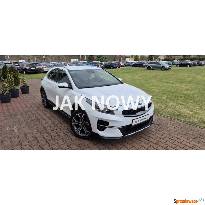 Kia XCeed  Hatchback 2020,  1.0 benzyna - Na sprzedaż za 57 800 zł - Paproć