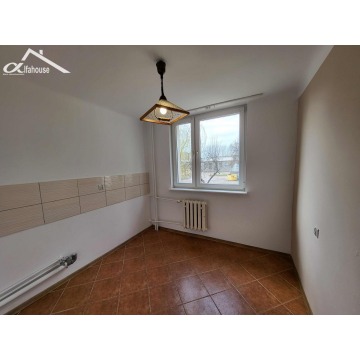 Mieszkanie jednopokojowe Chełm,   36 m2, parter - Sprzedam - zdjęcie 8