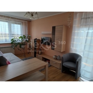 Mieszkanie dwupokojowe Krośnice,   37 m2 - Sprzedam - zdjęcie 2