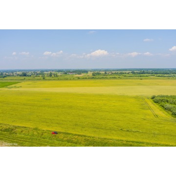 Działka rolna Szczurowa sprzedam, pow. 4400 m2  (44a) - zdjęcie 6