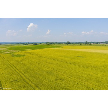 Działka rolna Szczurowa sprzedam, pow. 4400 m2  (44a) - zdjęcie 4