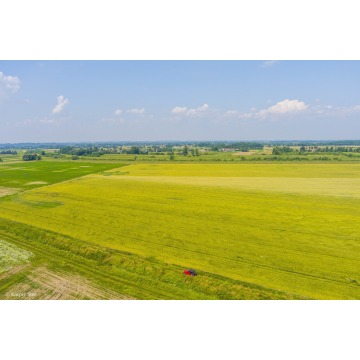 Działka rolna Szczurowa sprzedam, pow. 4400 m2  (44a) - zdjęcie 3