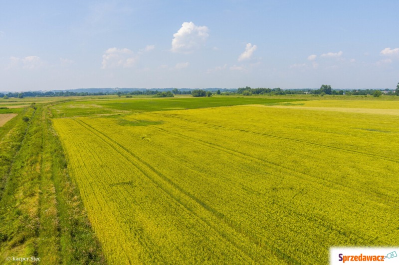 Działka rolna Szczurowa sprzedam, pow. 4400 m2  (44a)