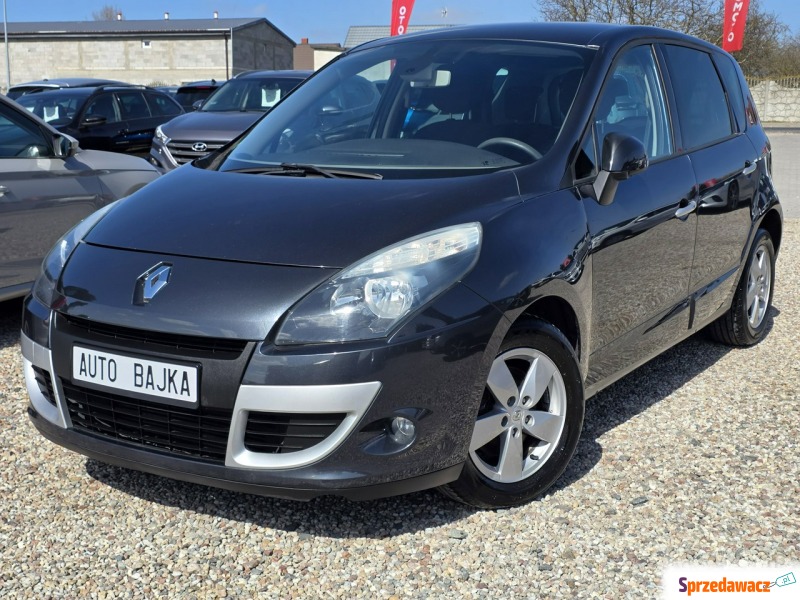 Renault Scenic  Minivan/Van 2010,  1.5 diesel - Na sprzedaż za 14 900 zł - Gniezno
