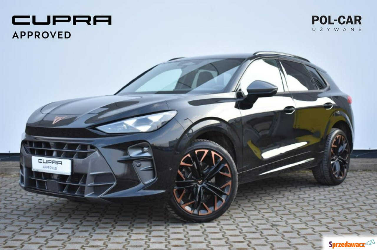 Cupra Terramar 2024