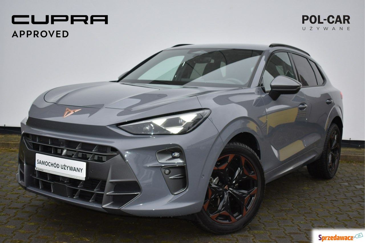 Cupra Terramar 2024