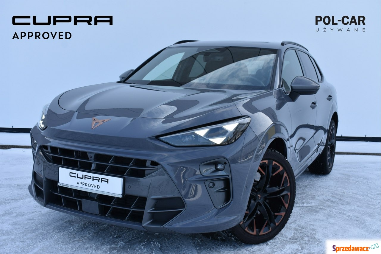 Cupra 2024