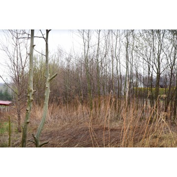 Działka budowlana Hermanowa sprzedam, pow. 2600 m2  (26a) - zdjęcie 5