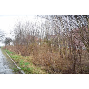 Działka budowlana Hermanowa sprzedam, pow. 2600 m2  (26a) - zdjęcie 8