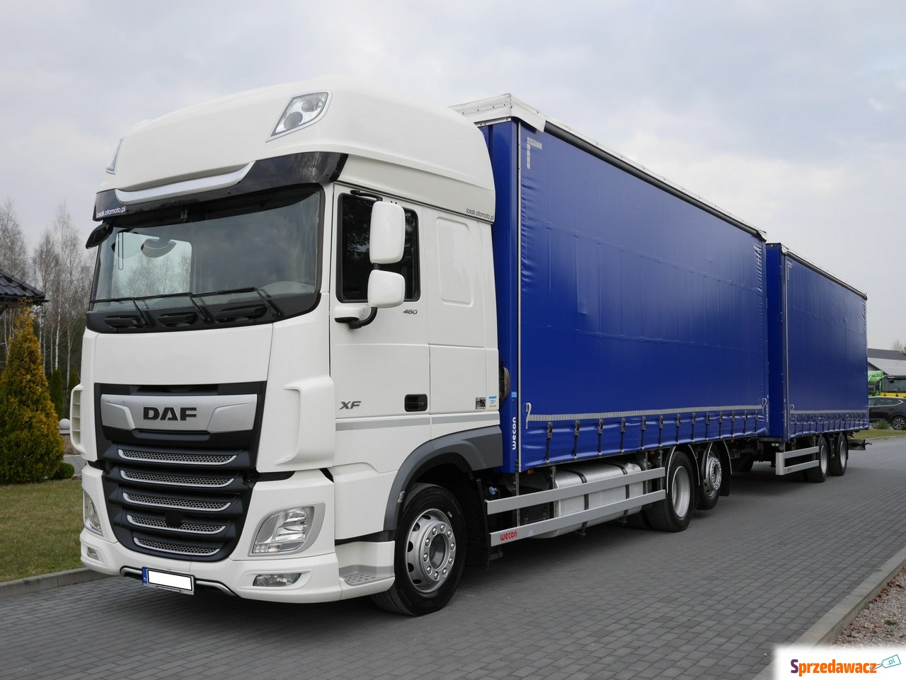 DAF 2021