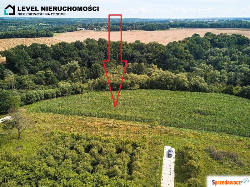 Działka z MPZP w Pasłęku