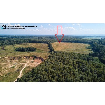 Teren pod wydobycie kopalin piaskowo – żwirowych - Działki na sprzedaż - Milejewo - zdjęcie 10