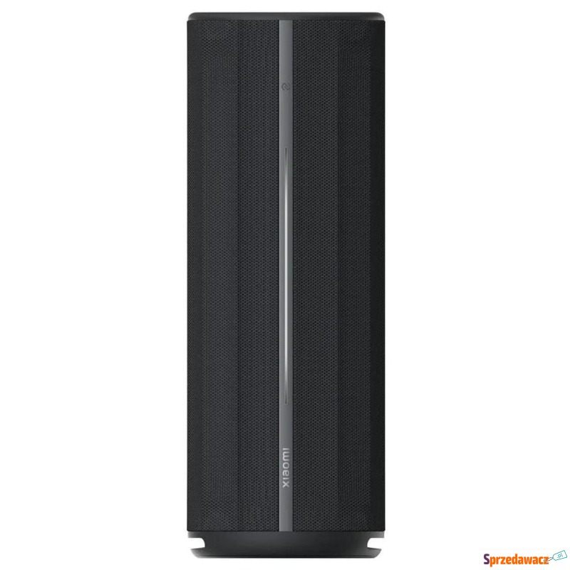 Xiaomi Bluetooth Speaker 40W - Głośniki - Namysłów