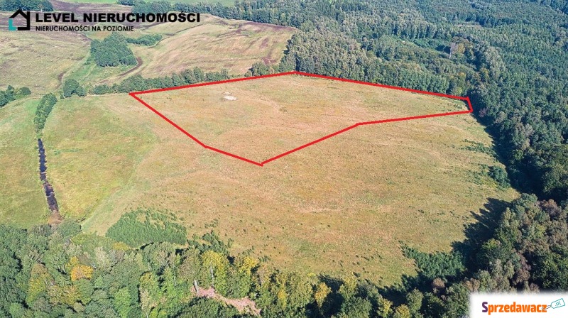 Teren pod wydobycie kopalin piaskowo – żwirowych - Działki na sprzedaż - Milejewo