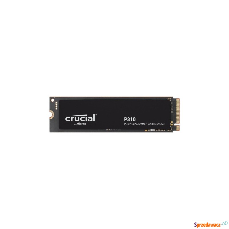 SSD PCIE G4 M.2 NVME 1TB/P310...