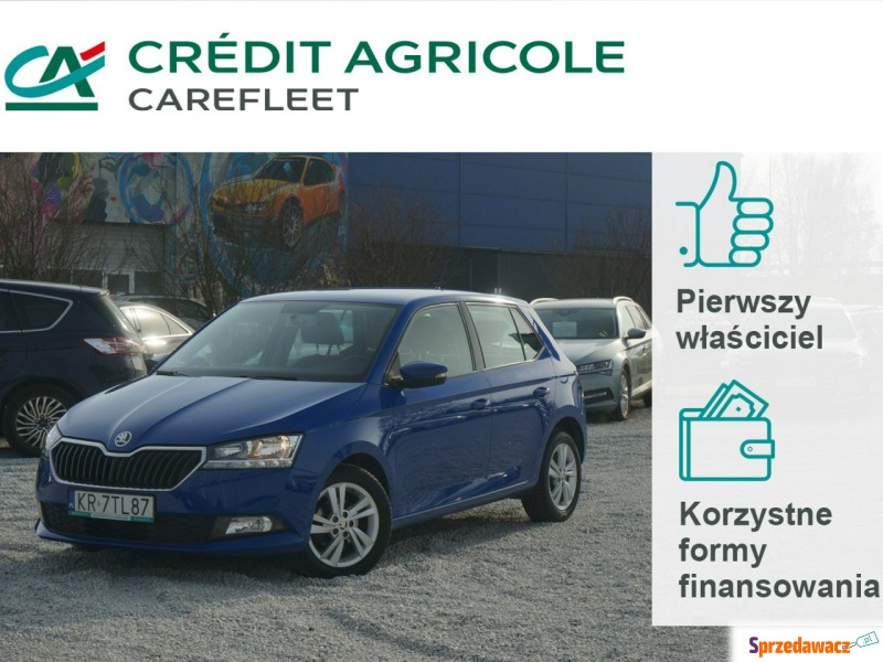 Skoda Fabia  Hatchback 2020,  1.0 benzyna - Na sprzedaż za 33 800 zł - Poznań