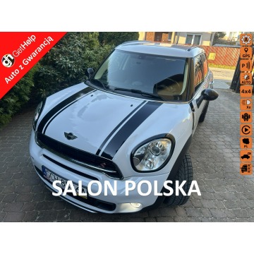 Mini Countryman - S 190KM, ALL4, polski salon, klimatronik,biksenony, duże radio, isofix