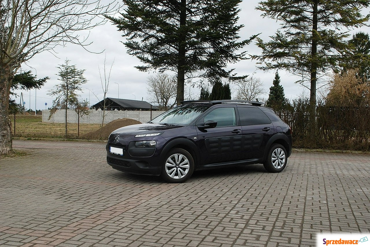 Citroen C4 Cactus 2014