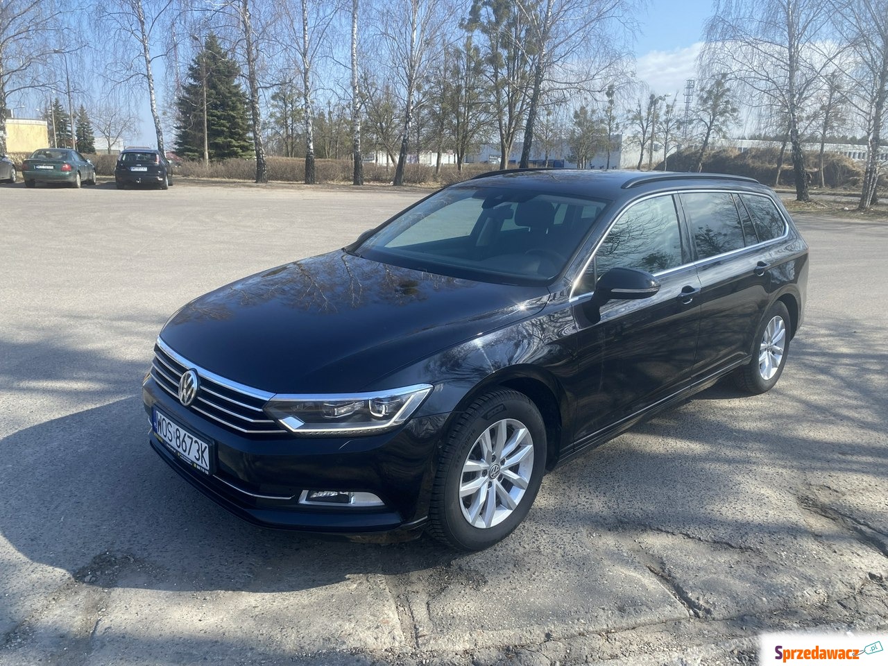 Volkswagen Passat 2.0 TDI (Blu...